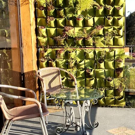 Preciosa Cabana En Fraijanes Kültér fotó